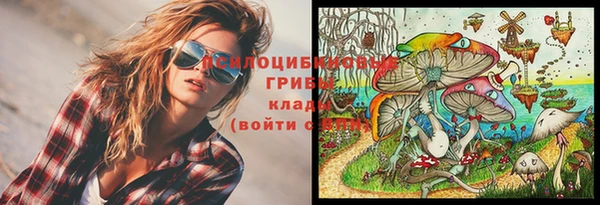 jwh Беломорск